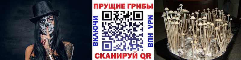 Галлюциногенные грибы Magic Shrooms  Сортавала 